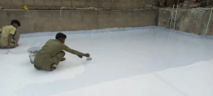 WhatsApp Image 2026 01 10 at 6.55.41 PM 2